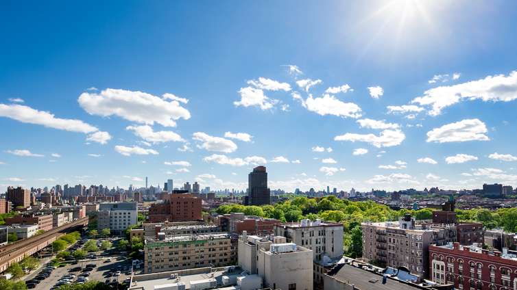 Harlem 125