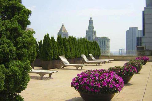 53 Park Place